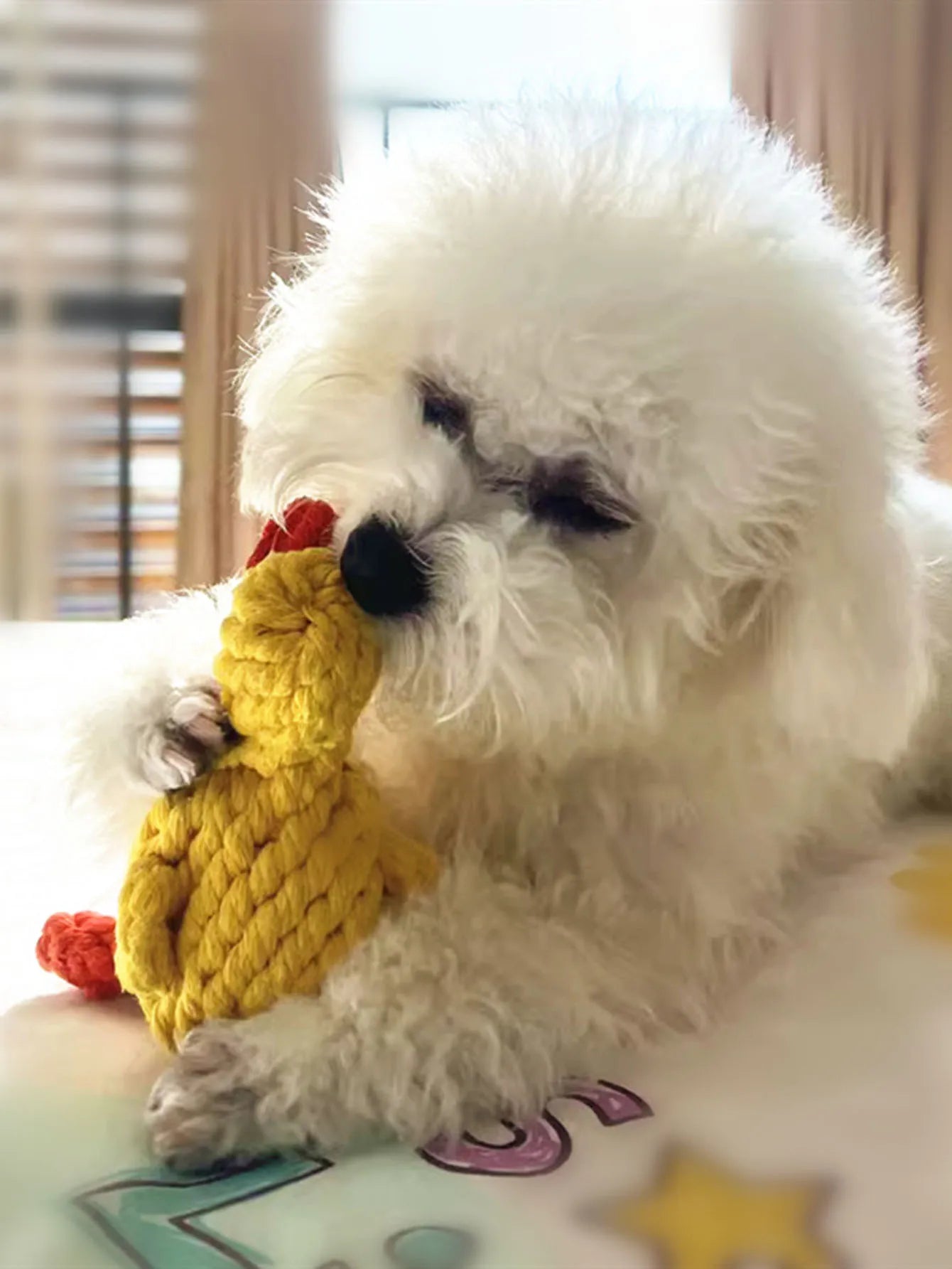 Hund tuggar på slitstark hundleksak i rep – perfekt för lek och tandvård