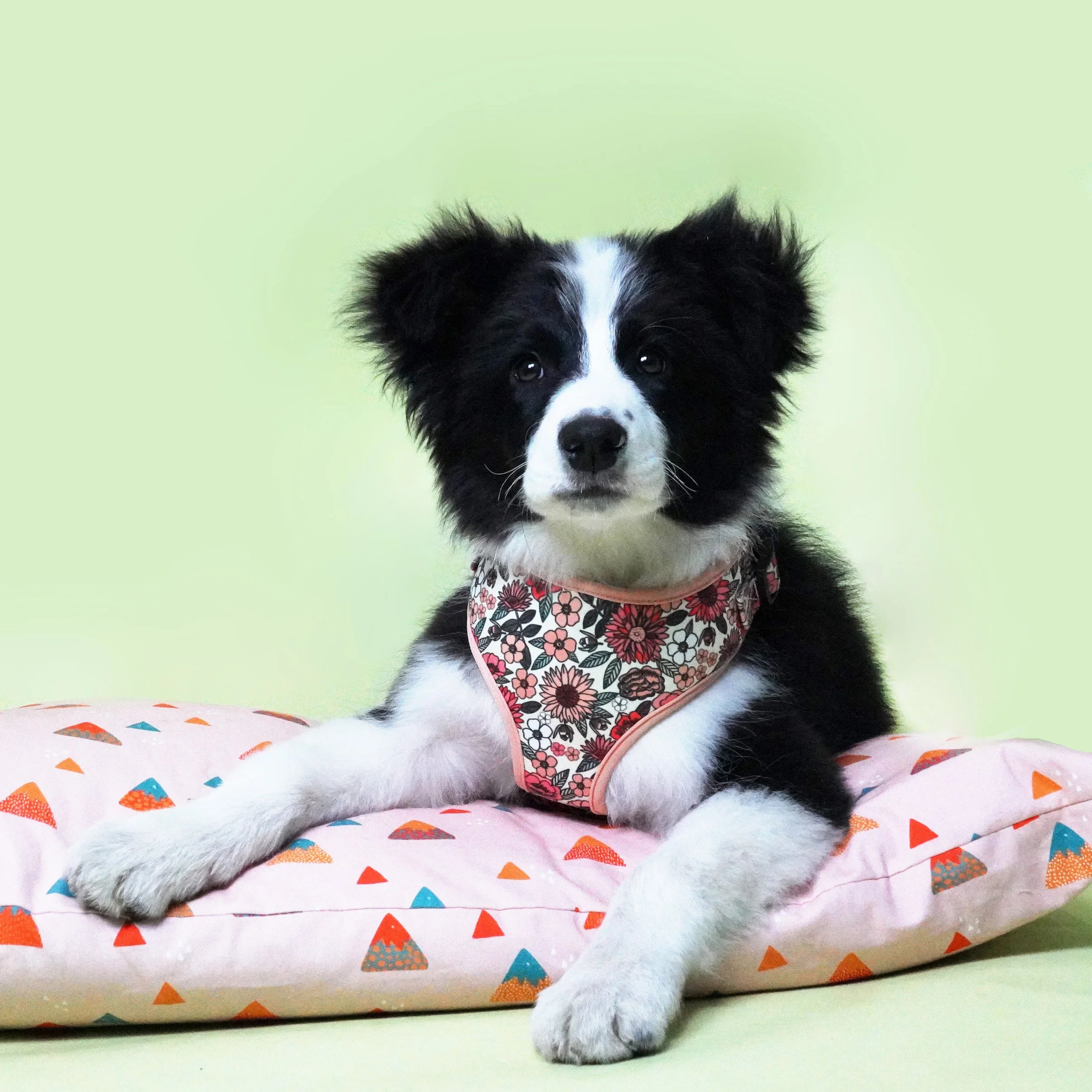 handgjord sele i boho blommigt mönster 