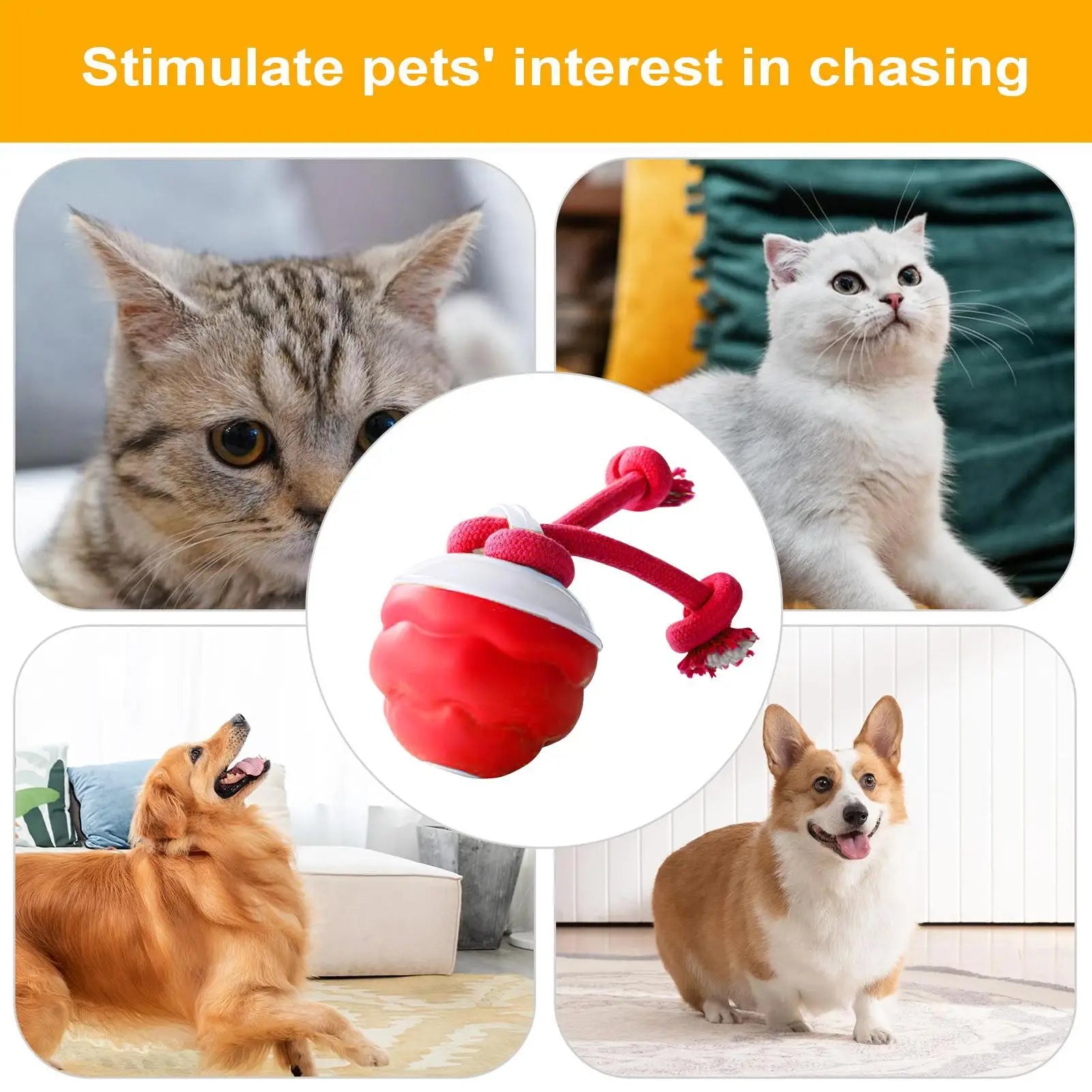 interaktiv hundboll med rep för aktiv lek