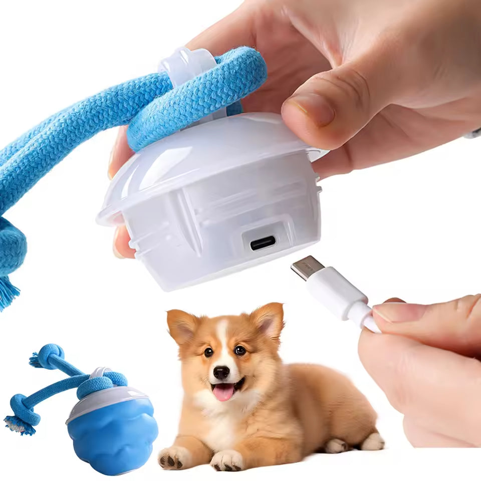 interaktiv hundboll med rep för aktiv lek