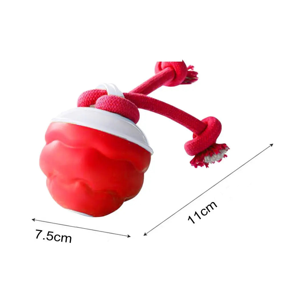 interaktiv hundboll med rep för aktiv lek