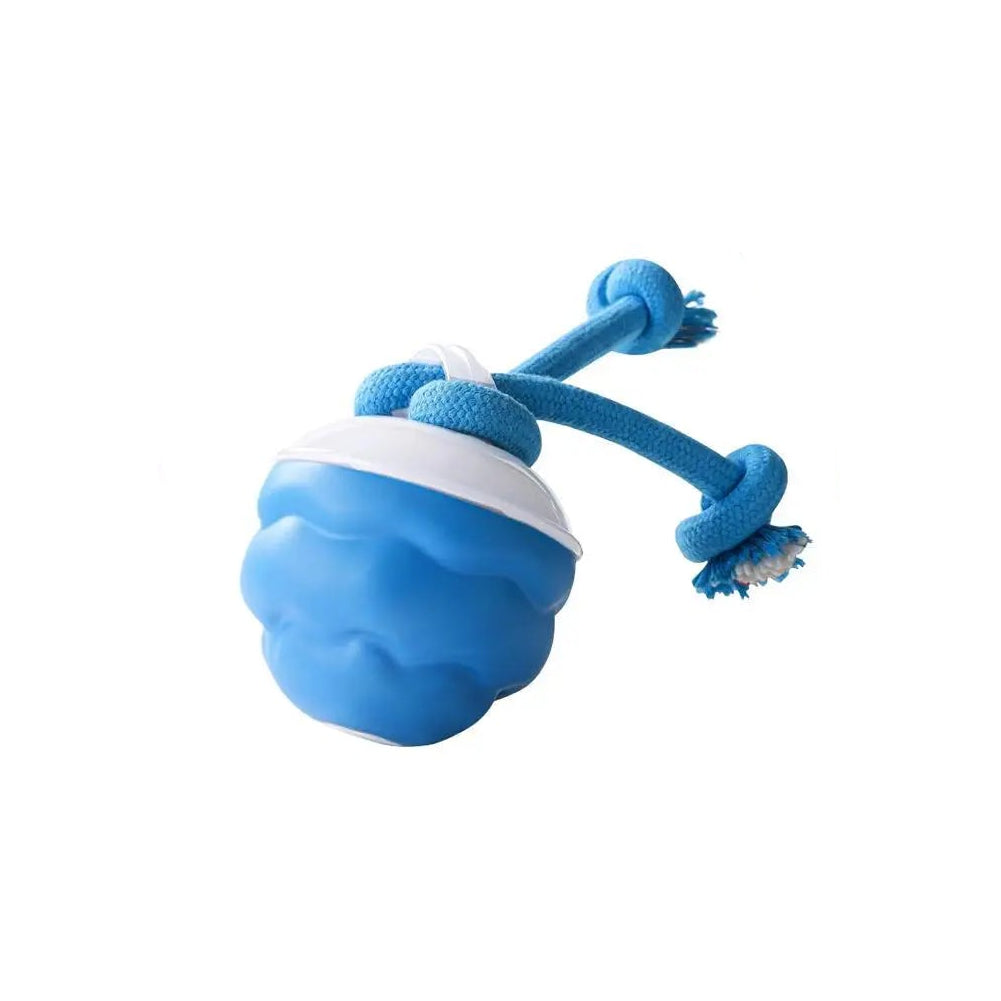 interaktiv hundboll med rep för aktiv lek