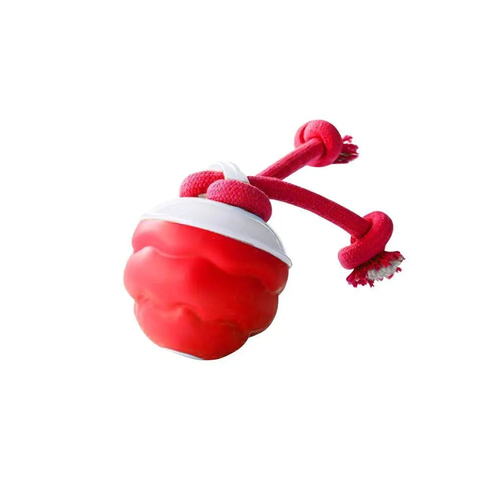 interaktiv hundboll med rep för aktiv lek