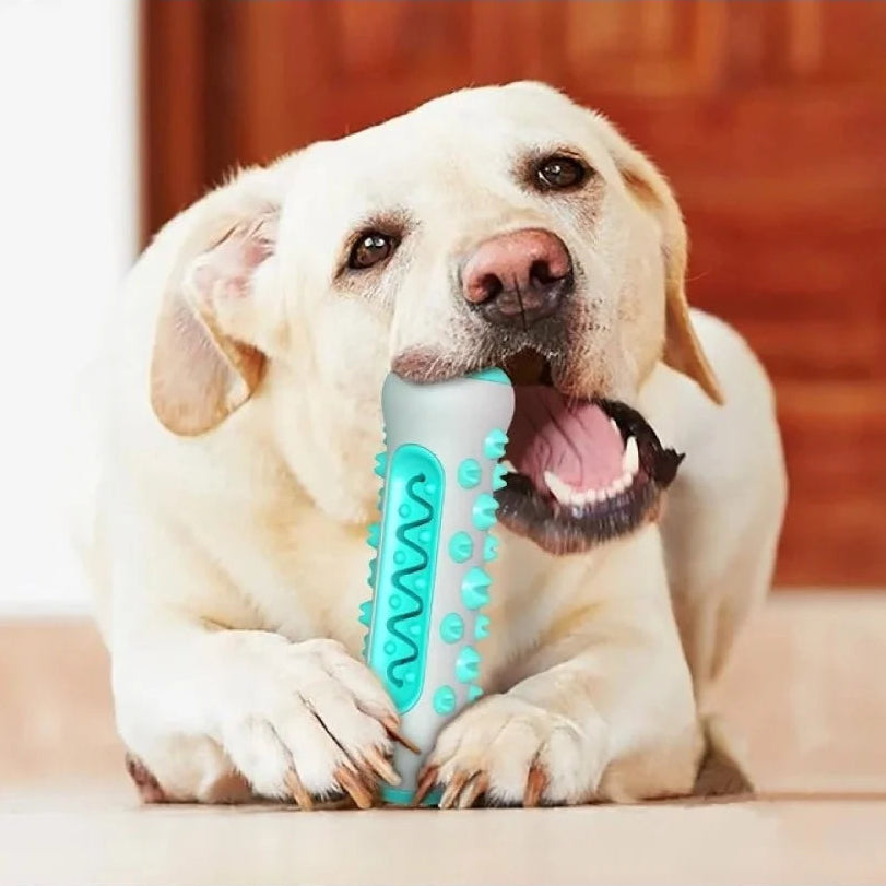 tandborstleksak för hund i tpr med godisgömma