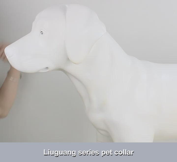 Justerbart Reflekterande Flätat Hundhalsband i Slitstark Nylon - för Medelstora till Stora Hundar