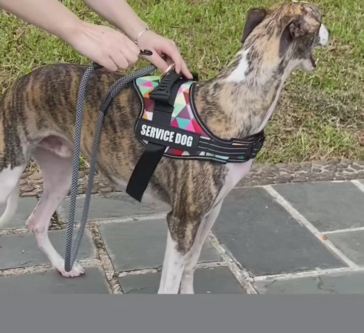 Reflekterande Hundsele med Anti-Drag-Design – Komfort, Säkerhet och Kontroll