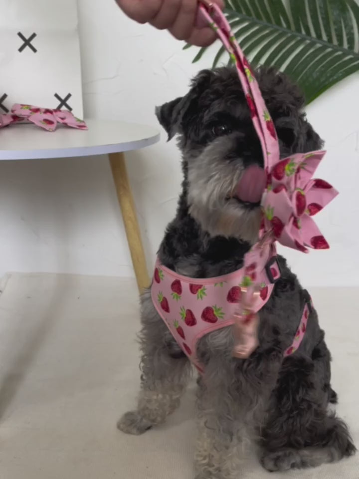 Hundhalsband med Jordgubbsmönster och Matchande Koppel & Sele