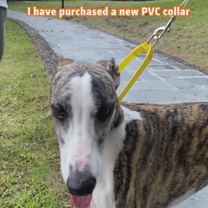 Vattentätt Hundhalsband i PVC – Träningshalsband med P-kedja och Dubbla D-ringar