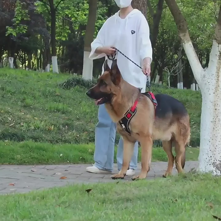 Reflekterande Taktisk Hundsele – Vattentät och Slitstark för Stora Hundraser