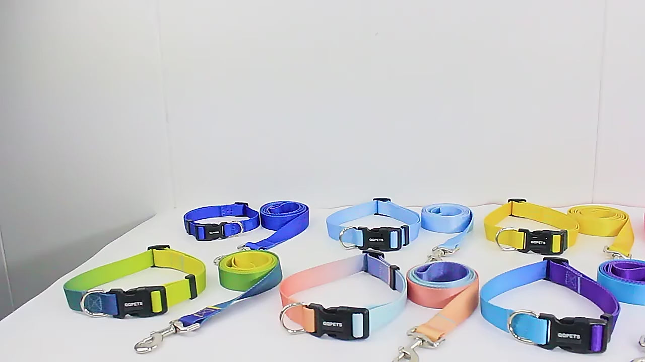 Färgglatt Hundkoppel & Halsband – Justerbart Nylonsset