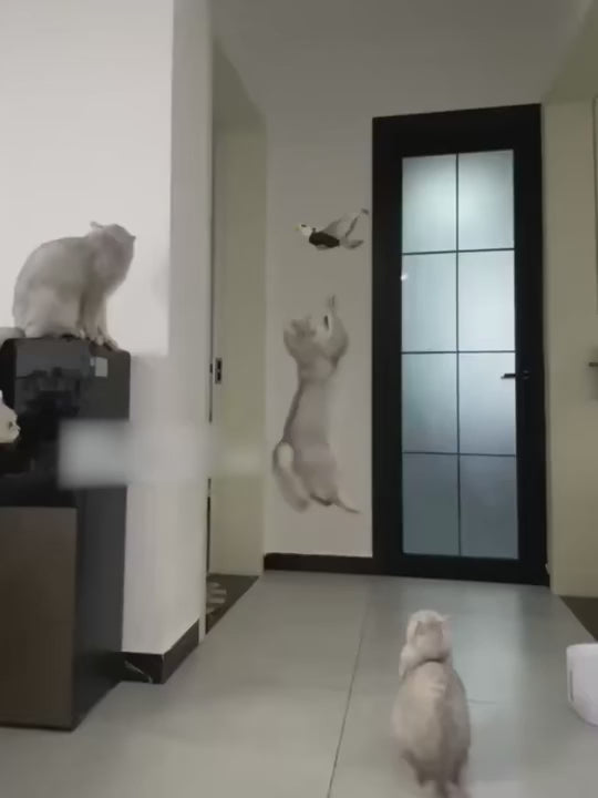 elektrisk kattleksak interaktiv jaktlek flygande fågel