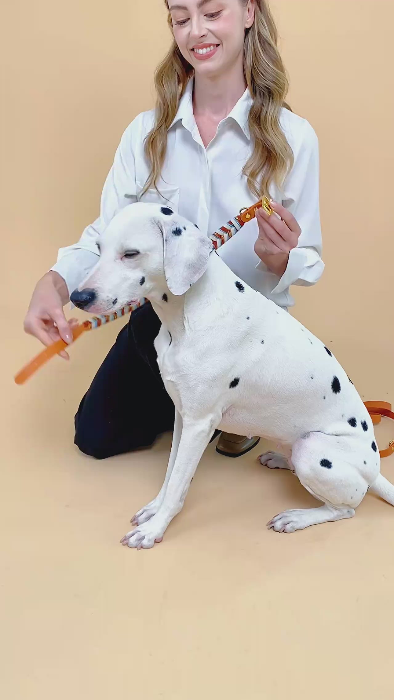 Exklusivt Handvävt Hundhalsband – Färgstark, Stilren & Justerbar Design