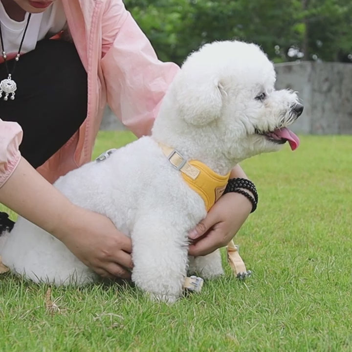 sele med koppel katt små hundar andningsbar bekväm västmodell