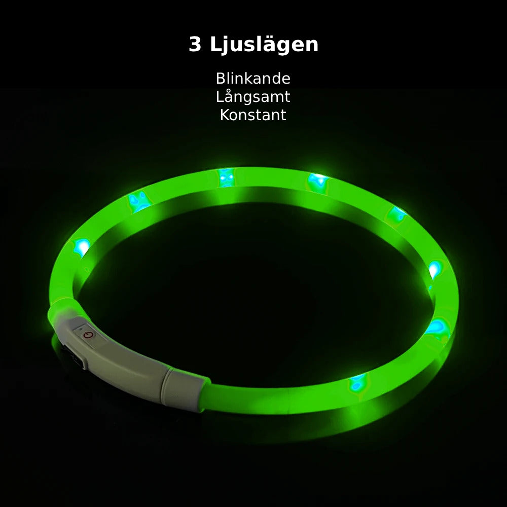 led hundhalsband usb laddning säkerhet synlighet mörker