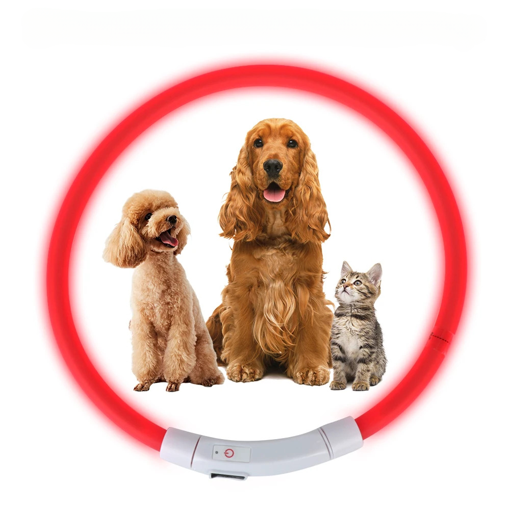 led hundhalsband usb laddning säkerhet synlighet mörker