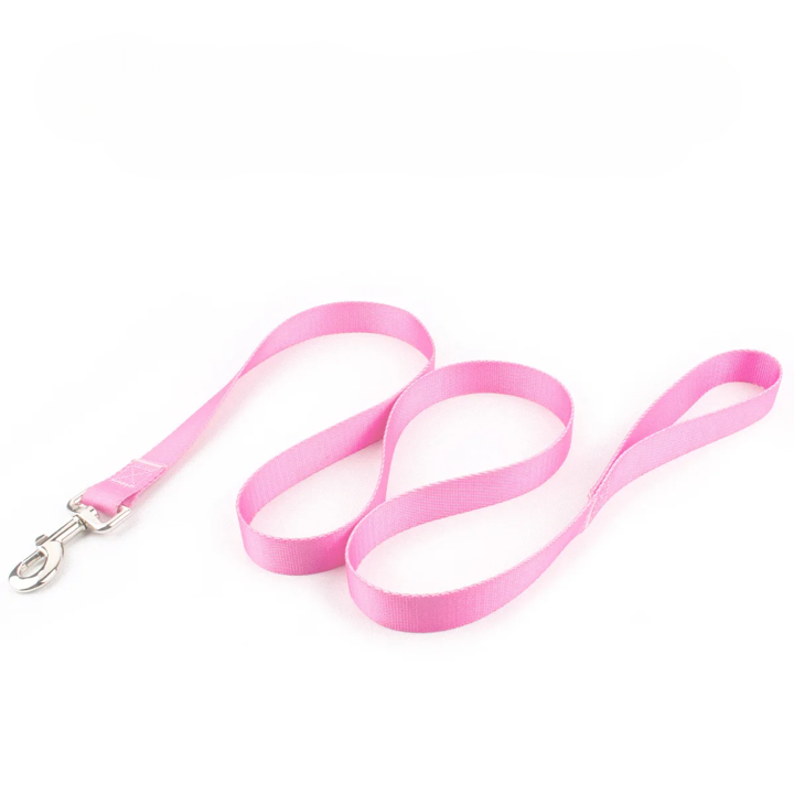 Färgglatt Hundkoppel & Halsband – Justerbart Nylonsset