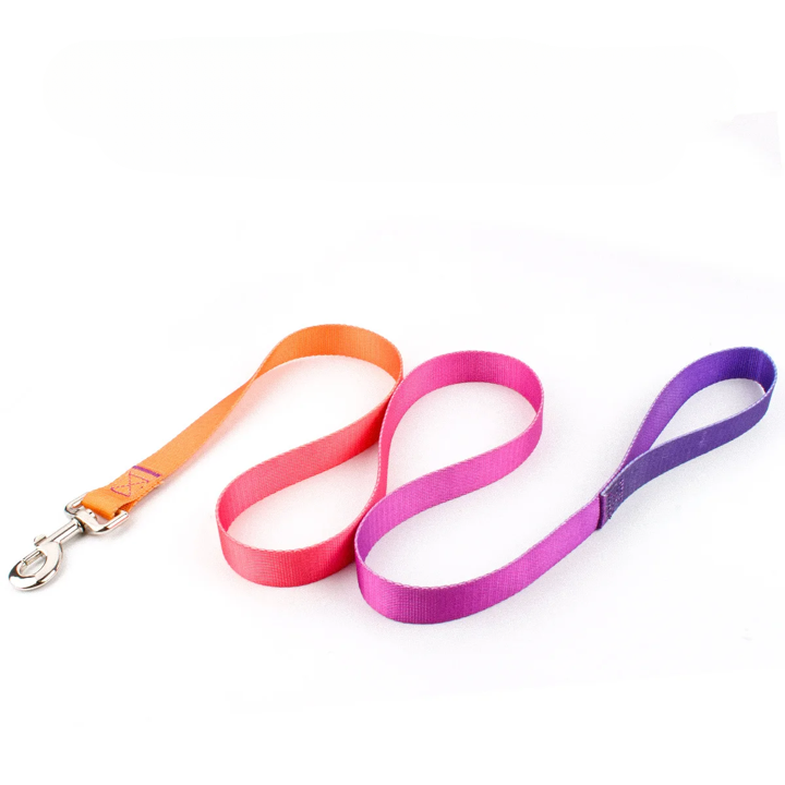 Färgglatt Hundkoppel & Halsband – Justerbart Nylonsset