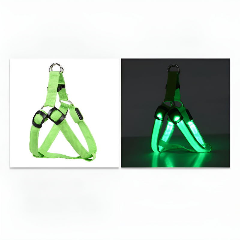 led hundsele lysande remmar säkerhet stil mörker