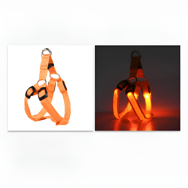 led hundsele lysande remmar säkerhet stil mörker