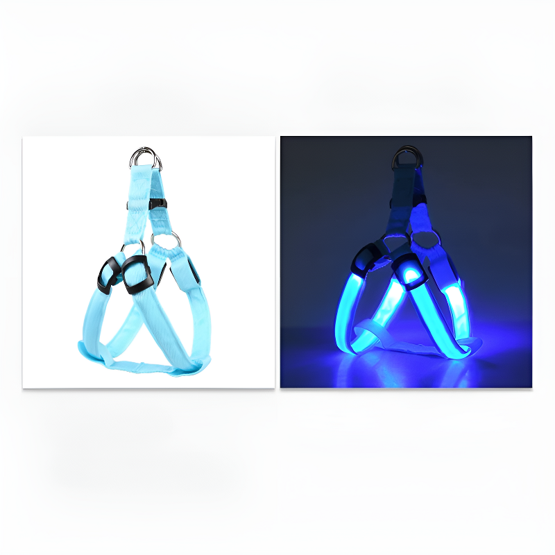 led hundsele lysande remmar säkerhet stil mörker