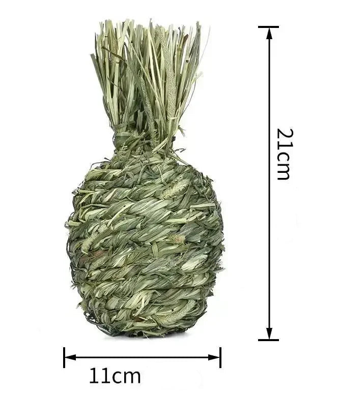 Naturlig Tuggleksak i Gräs för Smådjur – Slipar Tänderna Skonsamt