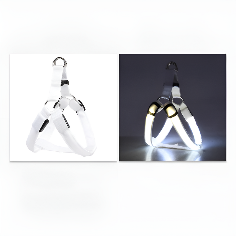 led hundsele lysande remmar säkerhet stil mörker