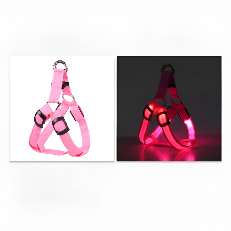 led hundsele lysande remmar säkerhet stil mörker