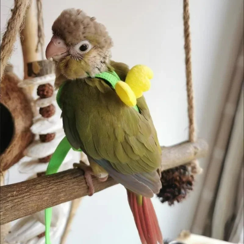 Justerbar Sele med Koppel för Papegojor och Småfåglar