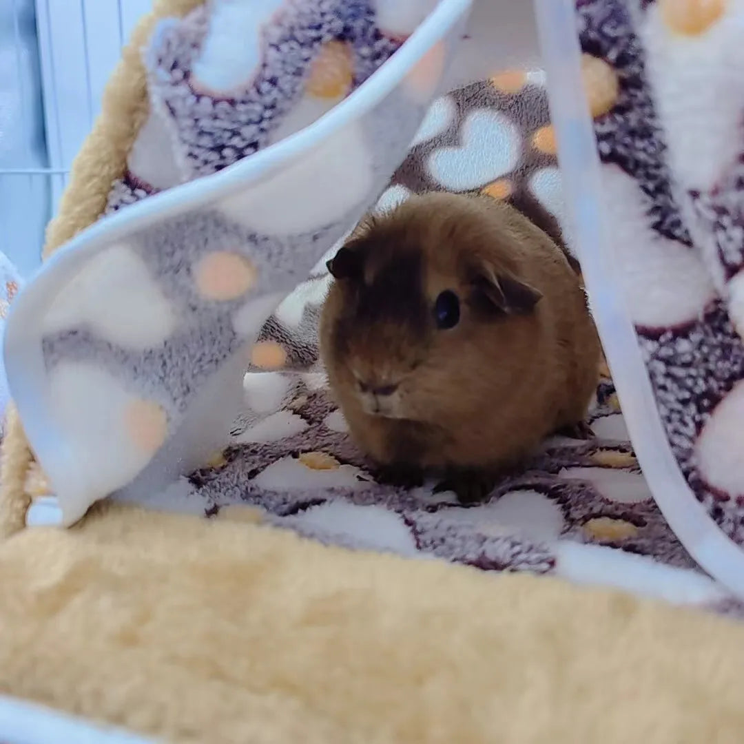 mjukt vinterhus i fleece för smådjur